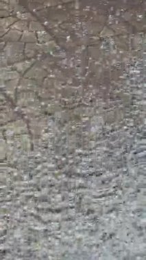 Yaz gününde sağanak yağmur. Ağaçlar güçlü rüzgardan titriyor. Yerde büyük su birikintileri var. Islak bitkiler