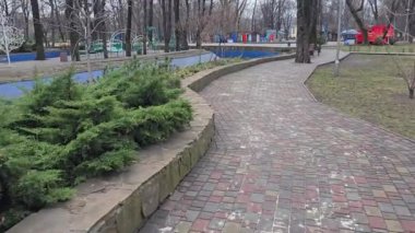 Parkta sincap kışın yiyecek arıyor. Ağaçlarda, çalılarda, fındıklar ve koniler üzerinde koşar ve zıplar.