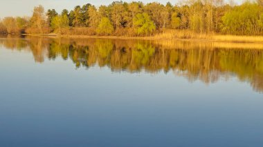 Ağaçlar ve bitkilerle çevrili büyük bir gölet. Kamp yapmak. Bahar manzarası. Mavi gökyüzü