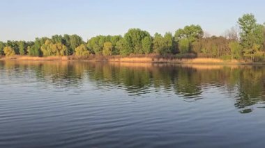 Ağaçlar ve bitkilerle çevrili büyük bir gölet. Kamp yapmak. Bahar manzarası. Sudaki kuşlar.