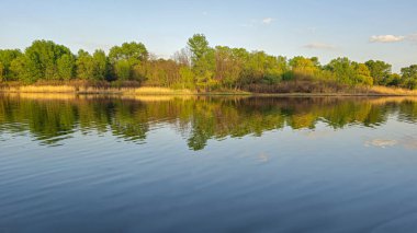 Ağaçlar ve bitkilerle çevrili büyük bir gölet. Kamp yapmak. Bahar manzarası. Sudaki kuşlar.