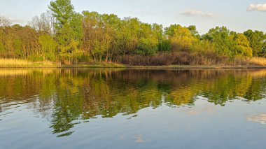 Ağaçlar ve bitkilerle çevrili büyük bir gölet. Kamp yapmak. Bahar manzarası. Sudaki kuşlar.
