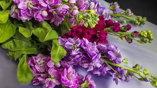 Açık arkaplanda bir buket leylak pembesi ve kırmızı matthiola çiçeği. Tatil hediyesi.