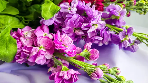 Açık arkaplanda bir buket leylak pembesi ve kırmızı matthiola çiçeği. Tatil hediyesi.