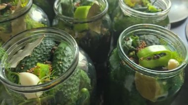 Saklamak için salatalık ve baharatlı kavanozlar. Salatalıkların mayalanması, kış hazırlıkları. Karanfil, biber, hardal, dereotu, salamura. Hasat et