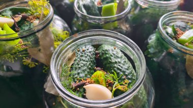 Saklamak için salatalık ve baharatlı kavanozlar. Salatalıkların mayalanması, kış hazırlıkları. Karanfil, biber, hardal, dereotu, salamura. Hasat et