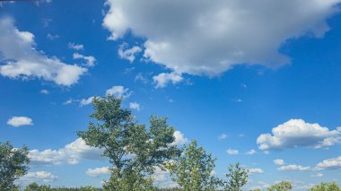 Bulutlu mavi gökyüzü, uçan kuşlar ve yeşil dallar. Yaz doğası. Büyük beyaz bulutlar