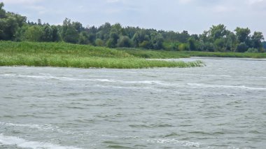 Yeşil ağaçlar, yansımalar ve mavi gökyüzü ile resmedilmeye değer bir yaz nehri manzarası - dinlenme ve turizm için bir yer. Doğada turist eğlencesi.