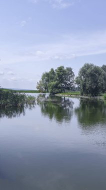 Yeşil ağaçlar, yansımalar ve mavi gökyüzü ile resmedilmeye değer bir yaz nehri manzarası - dinlenme ve turizm için bir yer. Doğada turist eğlencesi.