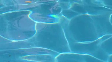 Havuzdaki su mavi, parıltılı ve güneşte parlıyor. Sağlıklı bir yaşam tarzı. Çocuklar için eğlence.