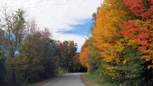 Herbst Bemalte Farben Der Bäume — Stockfoto