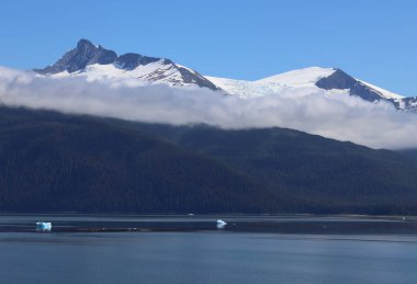 Alaska 'daki Tracy Arm Fiyordunda yaz manzarası