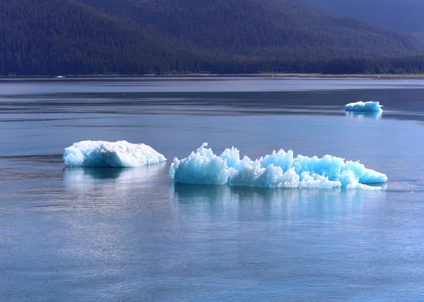 トレーシー アーム フィヨルドの氷河から漂う氷 — ストック写真