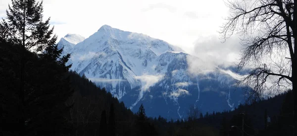 Téli Jelenet Cascades Hegységben — Stock Fotó