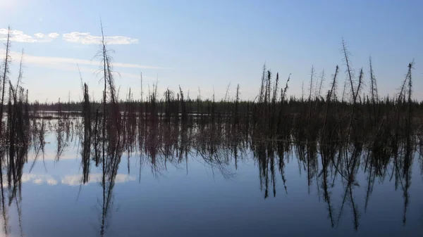 호수에 툰드라 지대의 — 스톡 사진