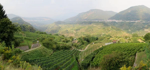 stock image Northern Italy is a wine country