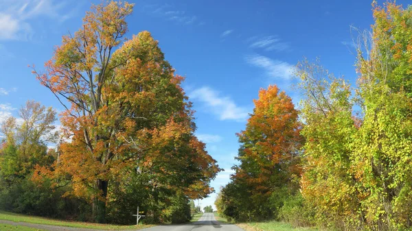 Herbstfarben Von Der Natur Bemalt No10 — Stockfoto