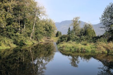 Yaz günü, çayırlar arasındaki sakin derede