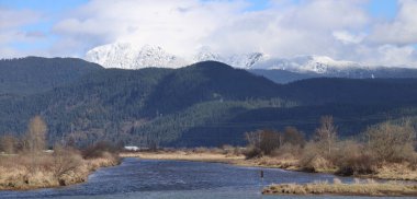 Cold winter morning at the marshes