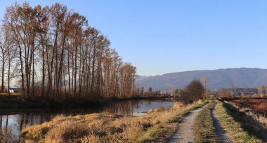 Öğleden sonra güneşinde sonbahar manzarası