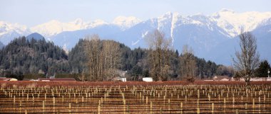 Foggy morning with snowy mountains and sunshine