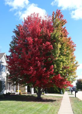 Sonbaharın rengine bakılırsa yakında olmalı.