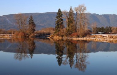 Sakin nehirde yansıyan ağaçların olduğu kış manzarası