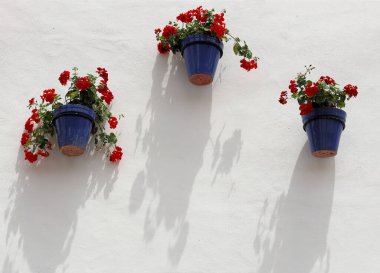 Gölgeler oluşturan saksıları olan beyaz bir duvar