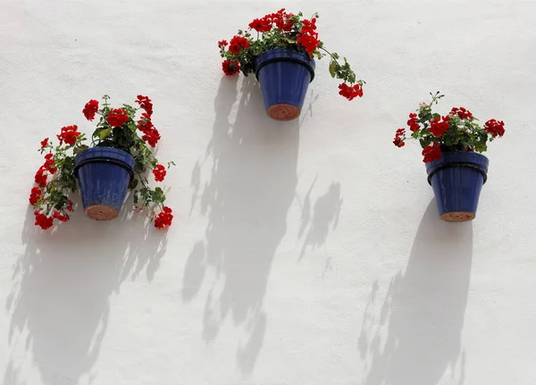Gölgeler oluşturan saksıları olan beyaz bir duvar