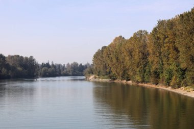 Huzurlu nehir ve ağaçlardan oluşan bir manzara.