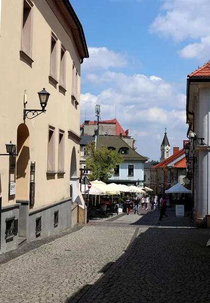 Bielsko Biala Polonya Daki Eski Şehir Kaldırımlı Sokakları — Stok fotoğraf