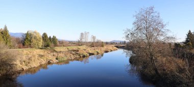 Sonbahar huzurlu nehir ve yapraksız ağaçlar