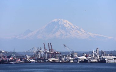 Güneşli bir günde Seattle ufkunda Rainier Dağı