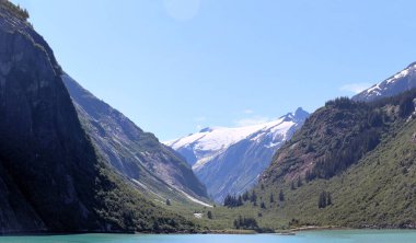 Tracy Arm Fjord 'un dağları arasındaki vadi