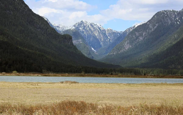 Perspektive Auf Das Ferne Tal Den Cascadia Mountains — Stockfoto
