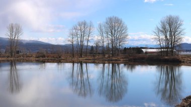 Sakin nehirdeki yapraksız ağaçların akşam yansımaları