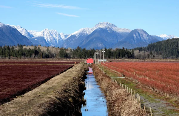 stock image Winter scenery with farms in the valley between mountains