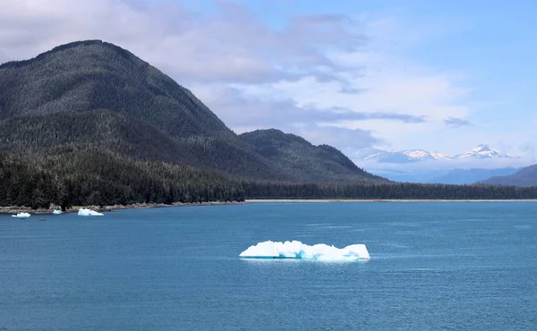 アラスカのトレイシー アーム フィヨルドに浮かぶ氷の塊 — ストック写真