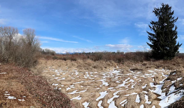 Patches Neve Derretendo Durante Primavera — Fotografia de Stock