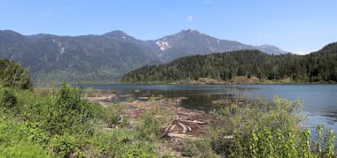 Yeşil bahar yaprakları ve dağ gölü