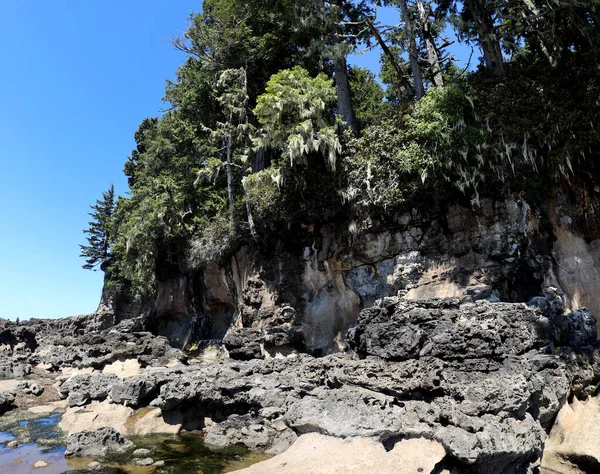 Orilla Rocosa Del Océano Isla Vancouver —  Fotos de Stock
