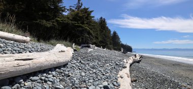 Taşlı Kanada Pasifik plajında sürükleniyorlar.