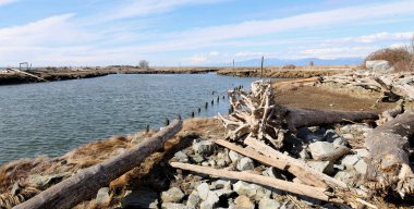 Nehrin ağzında bir odun yığını var.