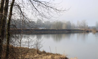 Huzurlu nehir ve yapraksız ağaçlarla sonbahar manzarası