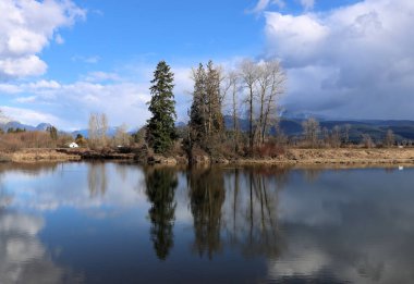 Yapraksız ağaçların yansımasıyla geçen sonbahar günü.