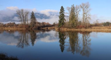 Ağaçlar, kışın erken saatlerinde huzurlu gölete yansıyor.