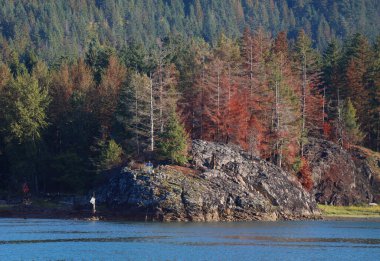 Dağ gölü kıyısında kaya