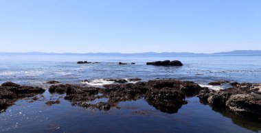 Kanada Pasifik kıyısında uykulu alçak gelgit