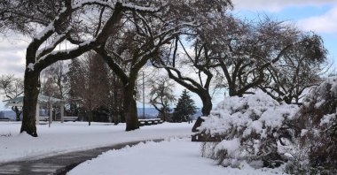 Banliyö parkında kara kış günü