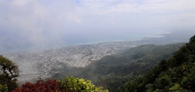 Puslu tropikal kuşlar Puerto Plata 'ya bakıyor.